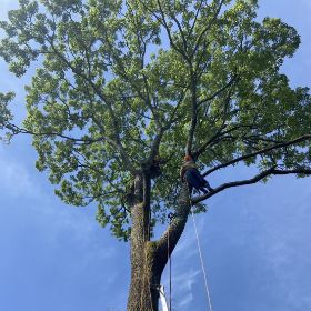 対応可能な作業