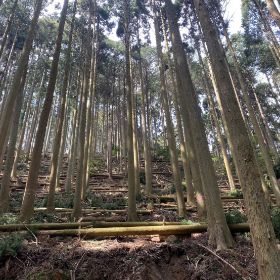 対応可能な作業