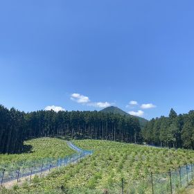 対応可能な作業
