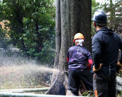 スライダー