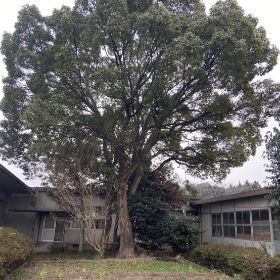 対応可能な作業